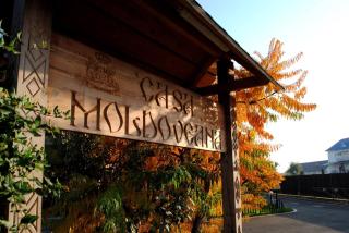 Pensiunea CASA MOLDOVEANA - 6