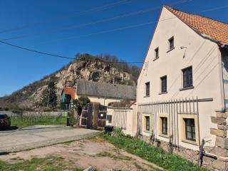 Apartment am Boselgarten - Coswig - 9