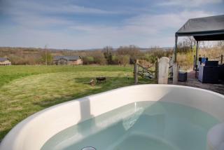 Kingfisher - Kittisford Barton - 3