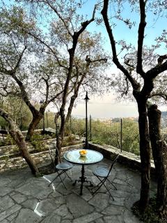 Villa Panorama with beautiful private garden - Santa Margherita Ligure - 9