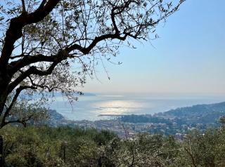 Villa Panorama with beautiful private garden - Santa Margherita Ligure - 4