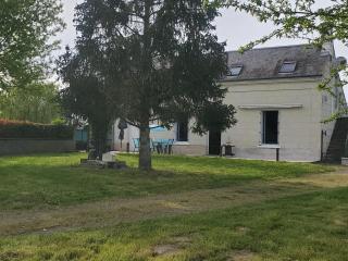 Gîte au coeur de la Touraine - La Chapelle-sur-Loire - 2