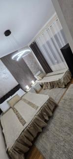 Apartman Tina - Soko Banja - 9