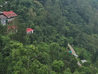 Mahankal Valley Homestay - 9