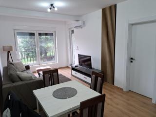 Apartman Miletic - Vrnjačka Banja - 3