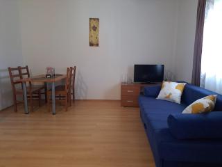 House Stari put with Pool - 1