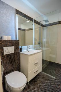 Herastrau Grand Suites - 2 or 3 BR Apartments - Bucharest - 6