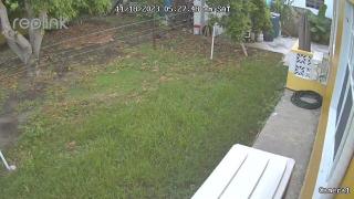 Kingmosei Hide away - Basseterre - 2