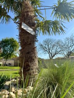 Les Villas de Grammont 260 - 8