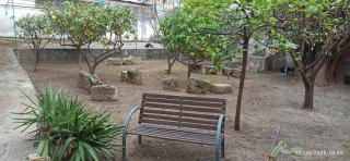 Jujube hortus apartment 4 - Palermo - 9