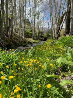 Luxury Glamping Wagon with mountain and vineyard views Winery - 8