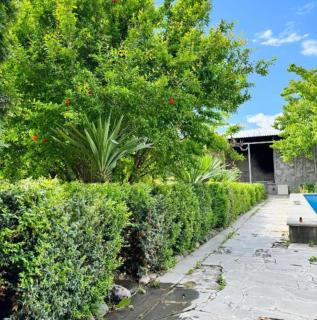 Garden Evn Airport Hotel - Erevan - 1