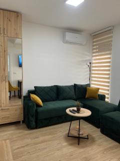 Apartman Todor - Vrnjačka Banja - 8