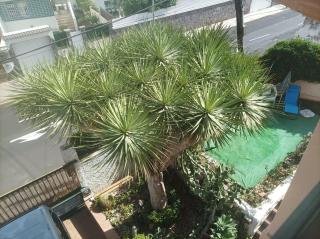 Casa Quico 2 - Santa Cruz de Tenerife - 6