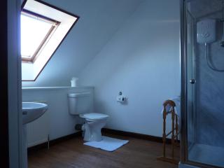 The Brown Trout Hotel - 2