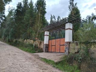 EMBAUBa - Tibasosa - 9