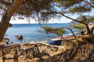 Villa Provence Azur - Grand appartement avec piscine proche Méditerranée - La Seyne-sur-Mer - 5