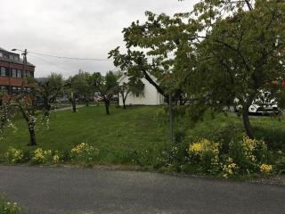 Villa Central - Asker - 8