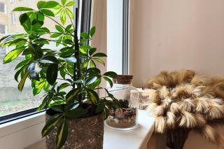 CozyHome Lux Apartment - Bratislava - 6
