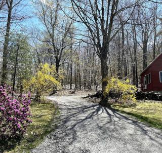 Private, Quiet Vermont Studio With Mountain Views - Guilford - 4