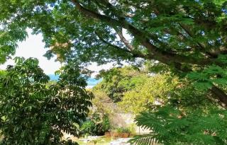 Spacious Apartment with Private Garden - 8