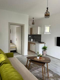 Rijeka Crnojevica Apartment Vujovic - Rijeka Crnojevića - 0