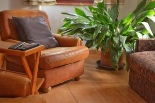 Apartmaji Boka - Bovec - 9