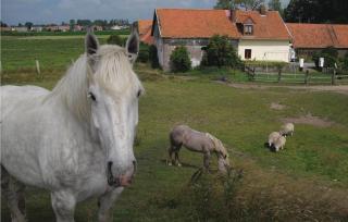 Lovely Home In Hames Boucres With Wifi - Hames-Boucres - 8