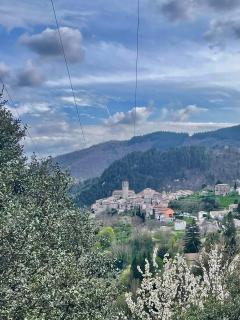 Gîte "Lo Fédou d'Antraigues sur Volane" - 7