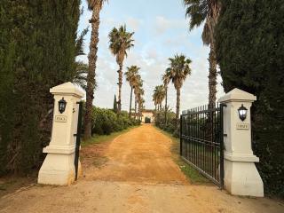 Finca Orate - Mairena del Alcor - 9