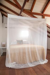 LA DILETTANTE - Maison Créole de 130m2 - Clim - Tout à Pied - 2