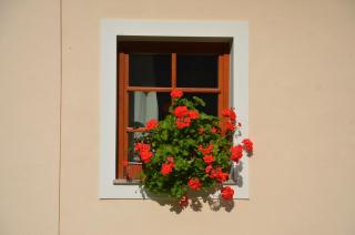 The farmhouse Bevsek Osep - 5