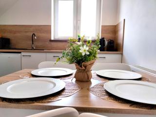 Agroturystyka Jodłowa - rodzinne apartamenty w centrum Gór Świętokrzyskich - sala zabaw, zwierzęta, bilard - Krajno-Zagórze - 2