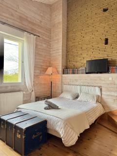 Le Loft de l'Artisterie - Mondonville - 9