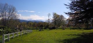 Bienvenue Chez Lola - 2