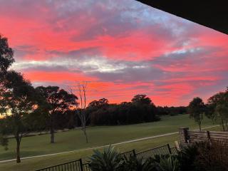 Beautiful flat - Schofields - 5