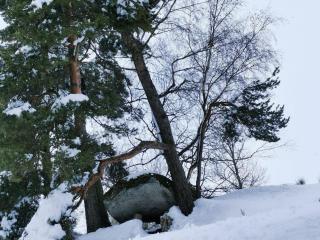 Ferme traditionnelle - 8