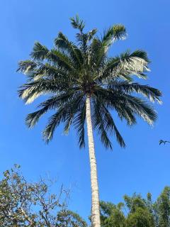 Apto Praia do Morro Guarapari - Wifi, Elevador, Garagem Coberta 20m da Areia - 7