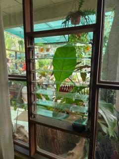 Casa Maranta - San Miguel - 7