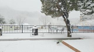 Chuncheon Dog pension Walk the Flower Path - Chuncheon - 6