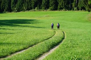 Hotel-Restaurant Alpha - 4