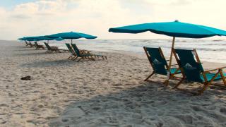 Doral 103 - Charming Beachfront / Ground Floor Condo! - Gulf Shores - 4