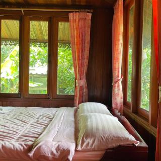 Healing House Holistic Farm Stay - 2