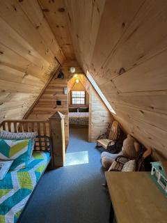 Bearly Behavin - Blue Ridge - 3