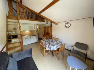 Coquet studio mezzanine exposé sud avec animaux admis - FR-1-787-122 - Laveissière - 5