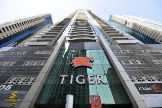 Tiger Tower - 1