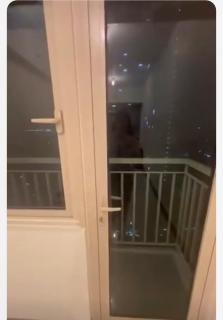 Coast Residences - 4