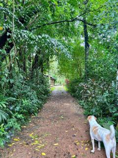 Wilwatte Retreat - 9