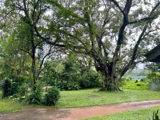 Wilwatte Retreat - Mirigama - 2