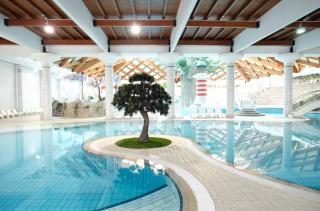 BRUNARICA VINTAGE 83 - nastanitev z vključenimi kopalnimi kartami - with Thermal Riviera Tickets included - 1